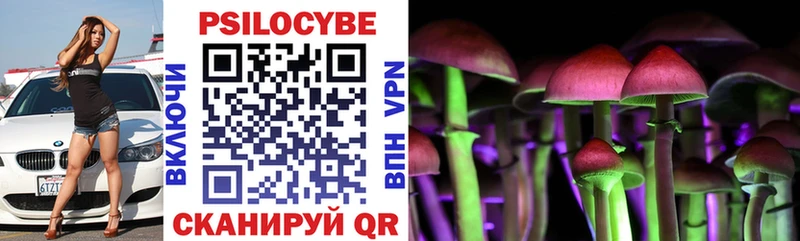 Псилоцибиновые грибы мухоморы  Купить закладки  Ижевск 